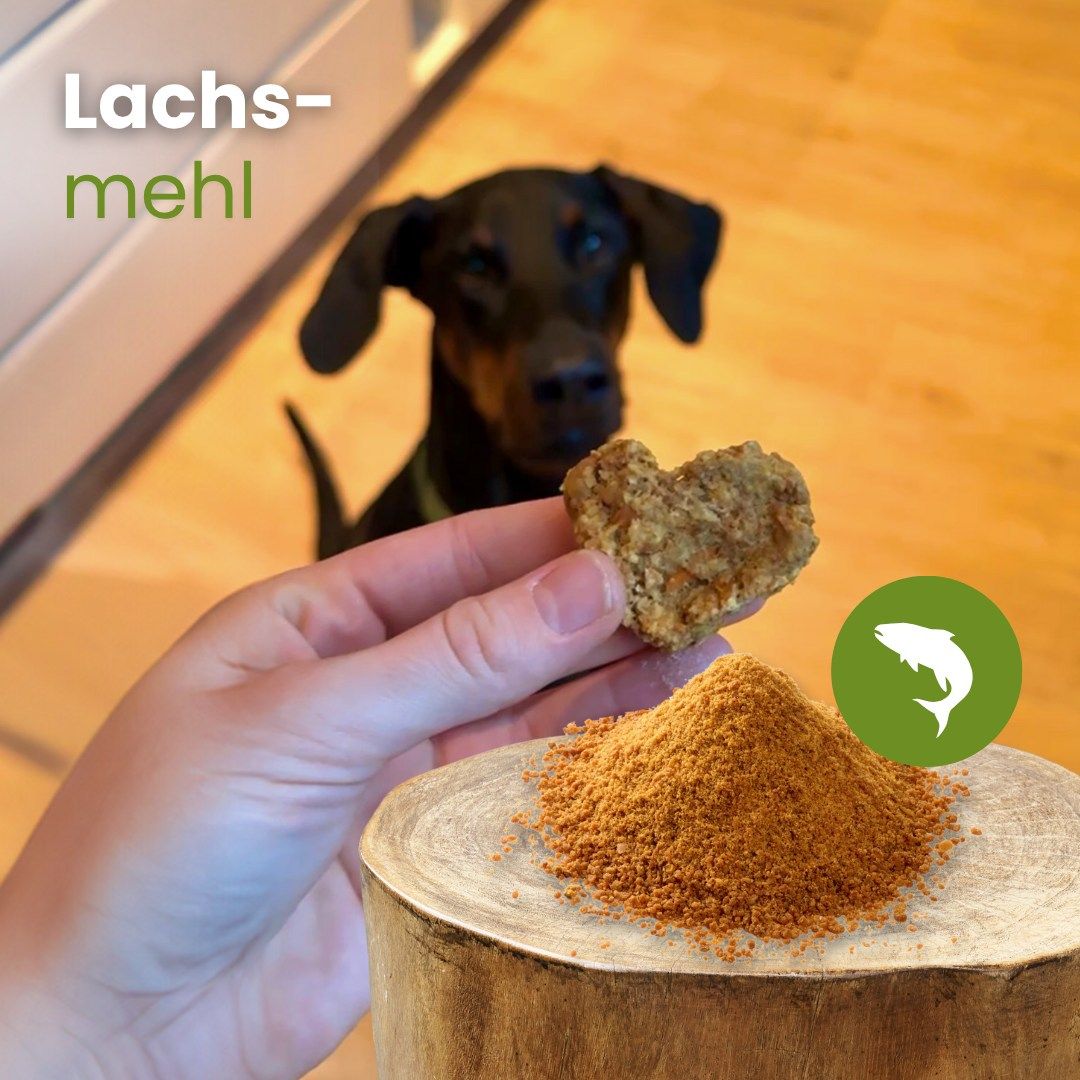 Haufen von feinem, braunem Lachspulver auf weißem Hintergrund.