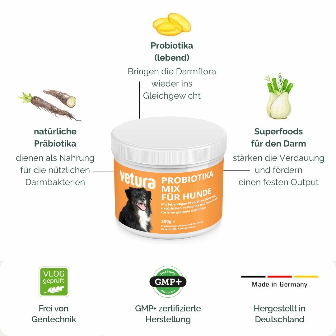 Vetura Probiotika-Mix für Hunde mit Verdauungsproblemen