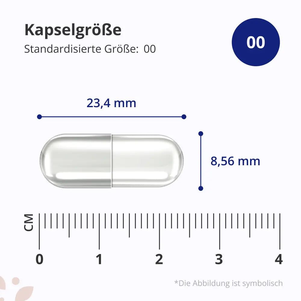 Kapsel mit Maßen: 23,4 mm lang, 8,56 mm Durchmesser. Text: Kapselgröße, Standardisierte Größe: 00. Skala in cm.