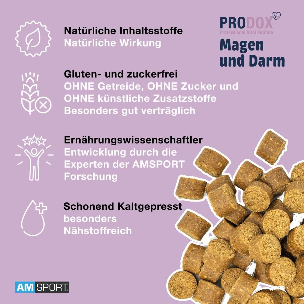 Infografik mit Text und Vital Bites. PRODOX, Magen und Darm. Gluten- und zuckerfrei.