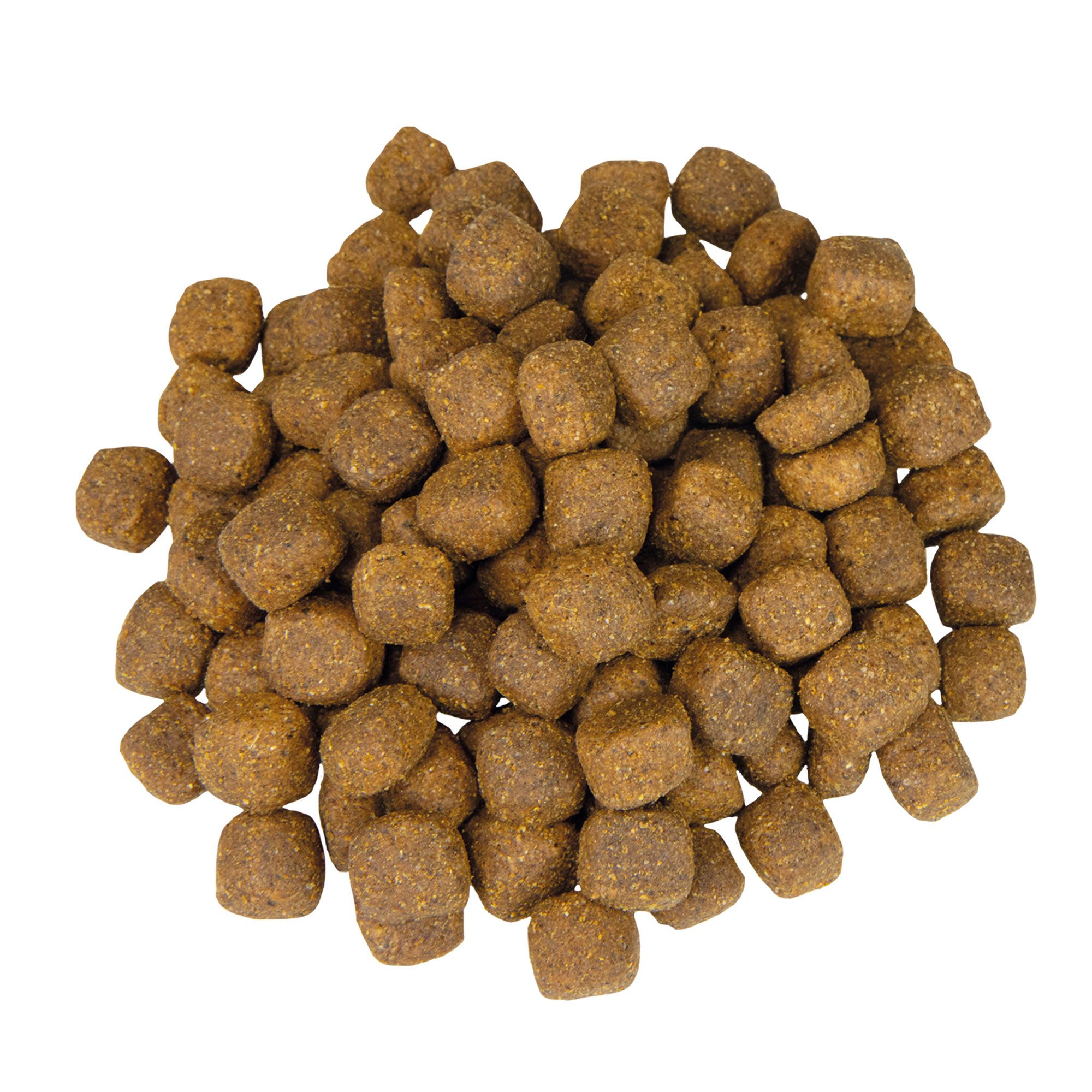 Schecker Veggie Dry - vegetarisches Hundefutter