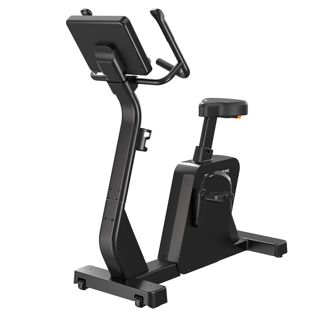 Sport-Thieme Ergometer B850