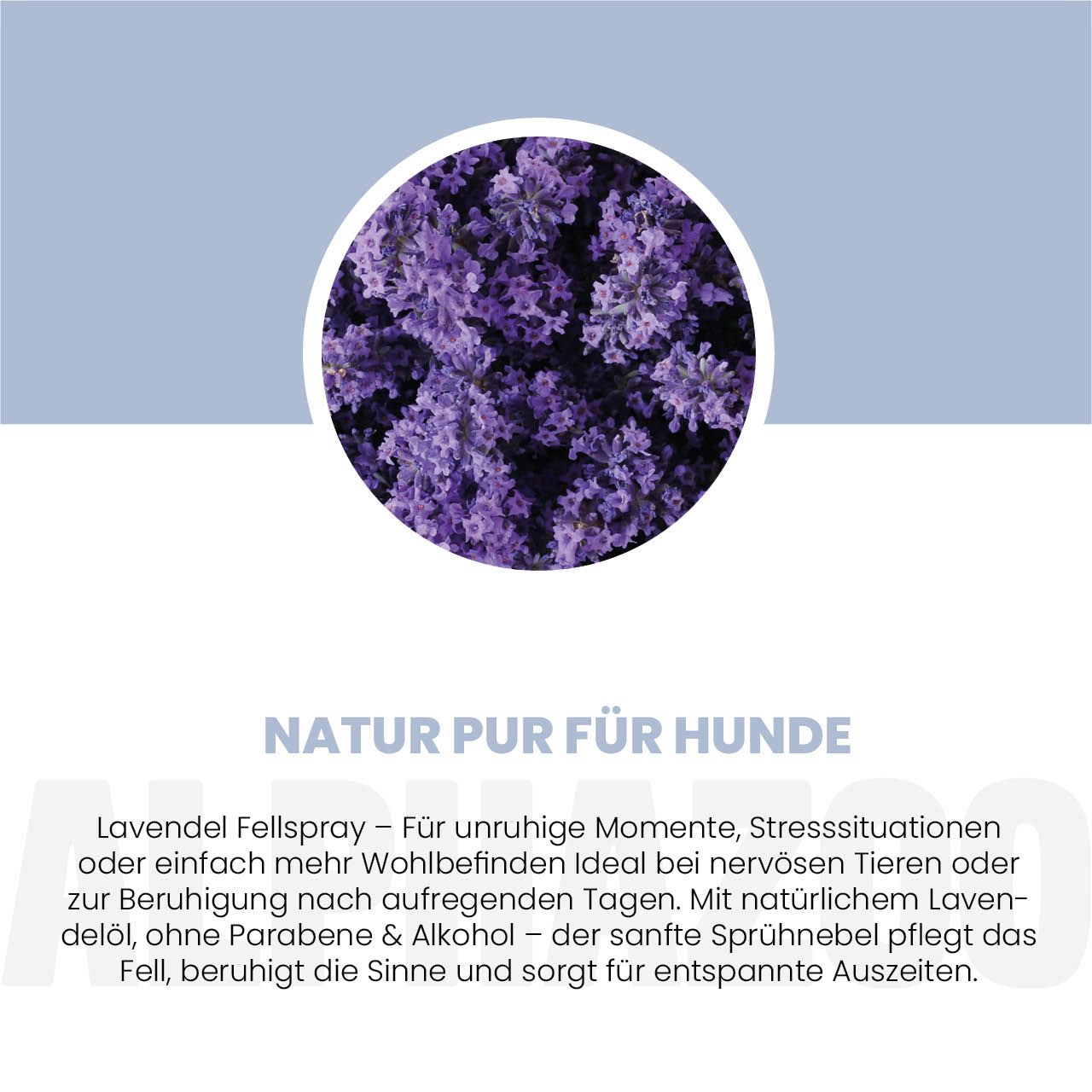 alphazoo Lavellness Fellspray für Hunde – Lavendel und Sheabutter