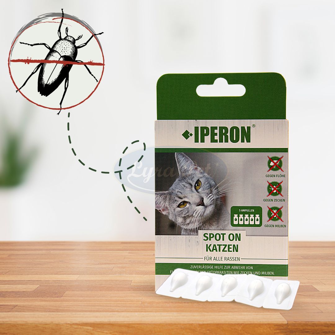 Verpackung von IPERON® SPOT-ON Katzen mit einer Zeichnung einer Zecke. Enthält 5 Ampullen. Text: Spot on Katzen, für alle Rassen. Gegen Flöhe, Zecken und Milben.