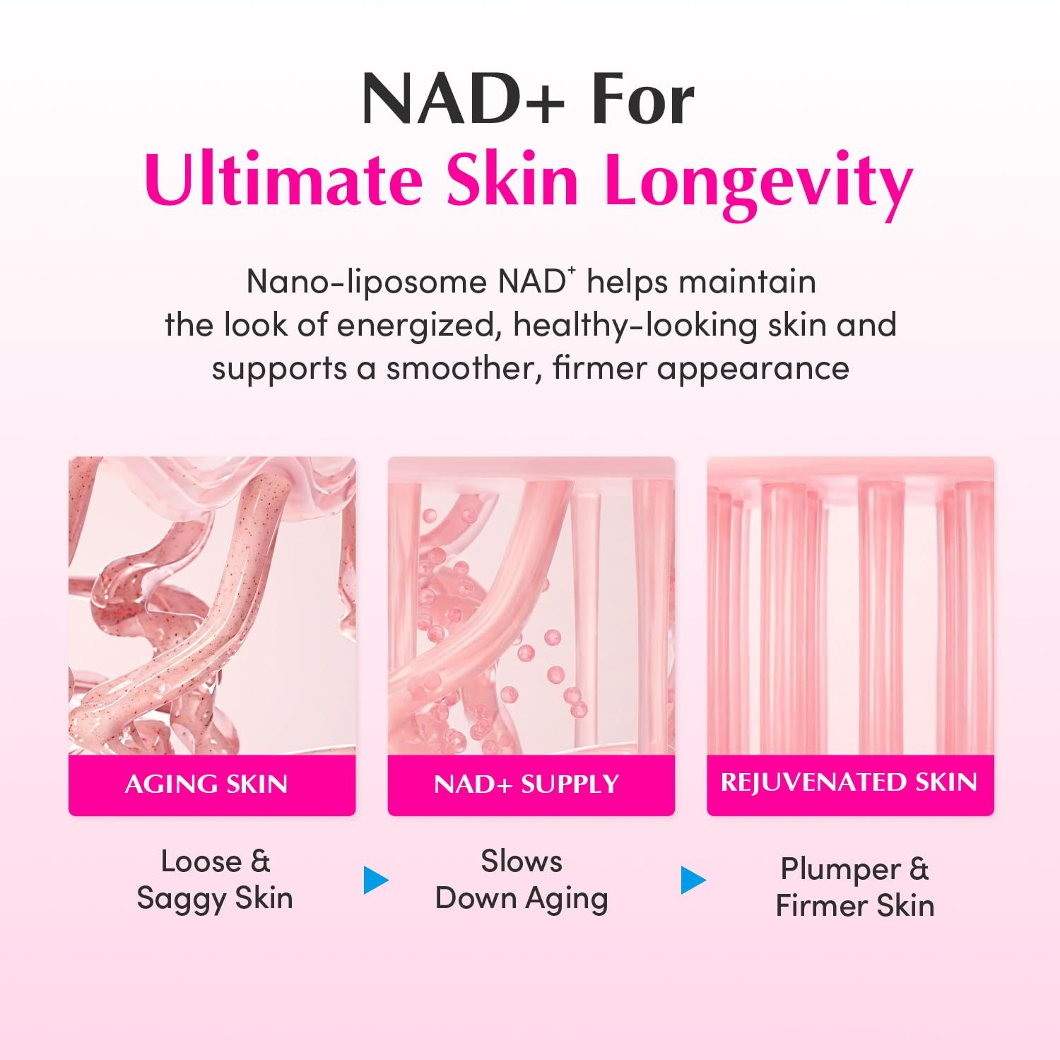 Grafik: Alternde Haut, NAD+ Versorgung, Verjüngte Haut. Text: Loose & Saggy Skin, Slows Down Aging, Plumper & Firmer Skin.