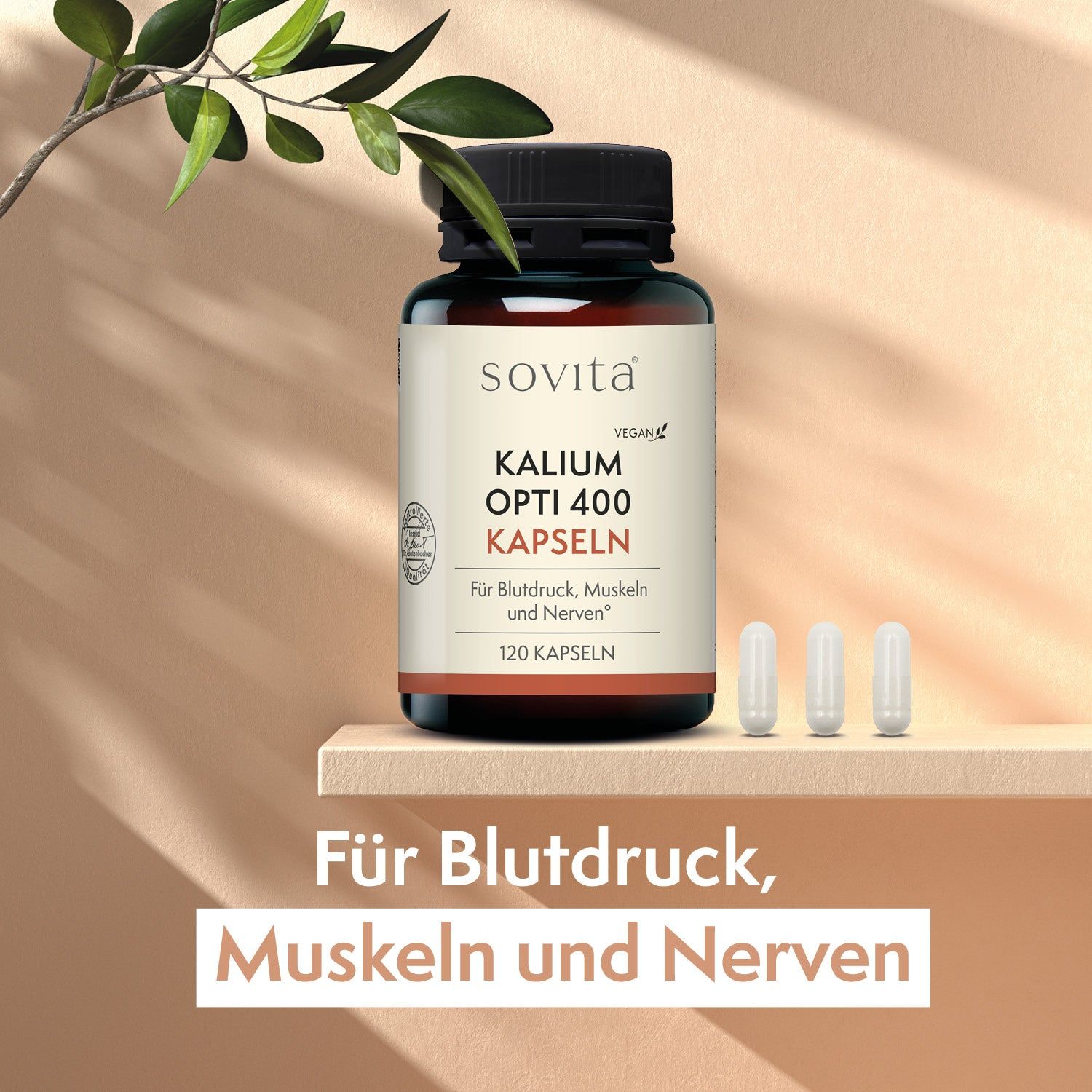Braune Glasflasche mit sovita Kalium Opti 400 Kapseln und 3 Kapseln. Text: Für Blutdruck, Muskeln und Nerven. 120 Kapseln.