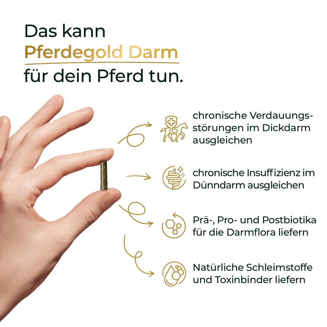 Hand hält eine Kapsel. Pfeile zeigen auf Vorteile: Ausgleich Verdauungsstörungen, Insuffizienz, Probiotika, Schleimstoffe.