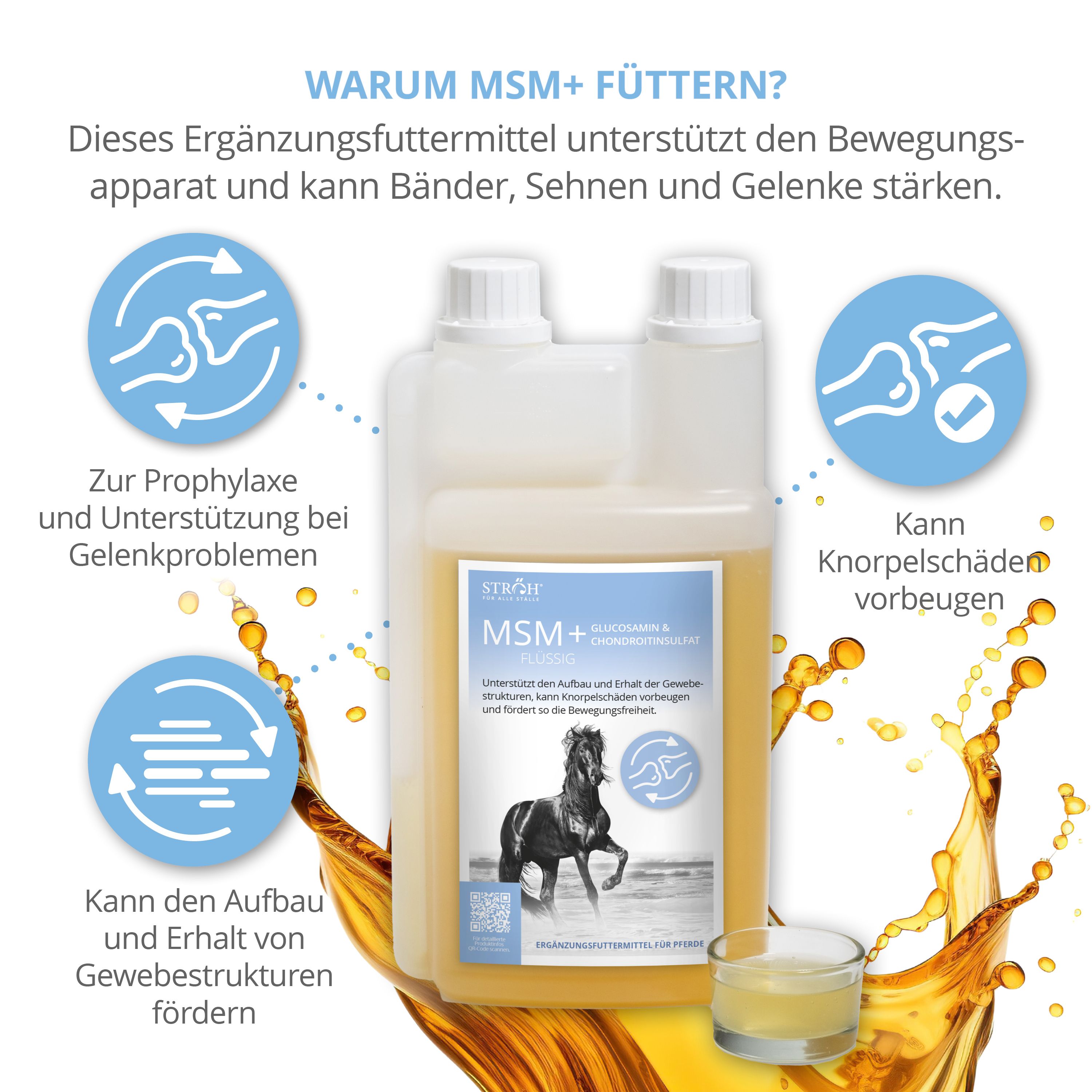 STRÖH MSM+ Glucosamin, Chondroitinsulfat flüssig