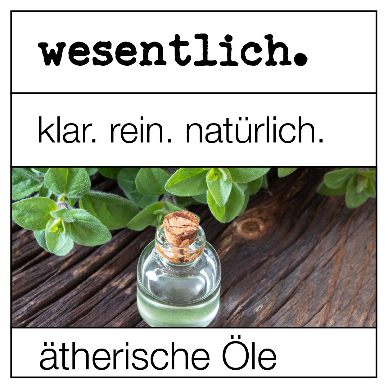 Citronella Öl - ätherisches Öl von wesentlich.