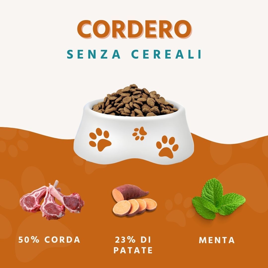 Hundenapf mit Trockenfutter, Lammfleisch, Süßkartoffeln und Minze. Text: Cordero senza cereali.