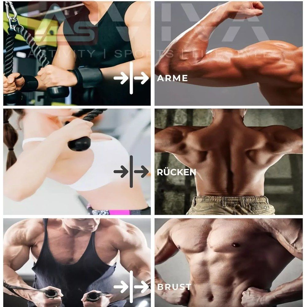 Collage zeigt Muskelaufbau an Armen, Rücken und Brust.