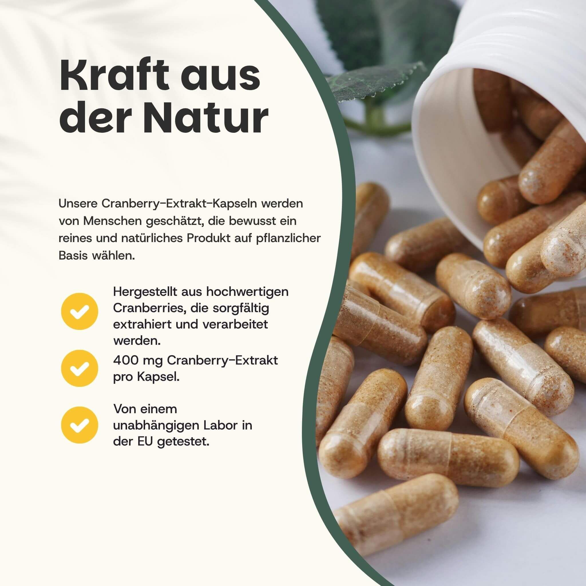 Weiße Dose mit Cranberry-Kapseln. Text: 400 mg Cranberry-Extrakt pro Kapsel. Labor in der EU getestet.