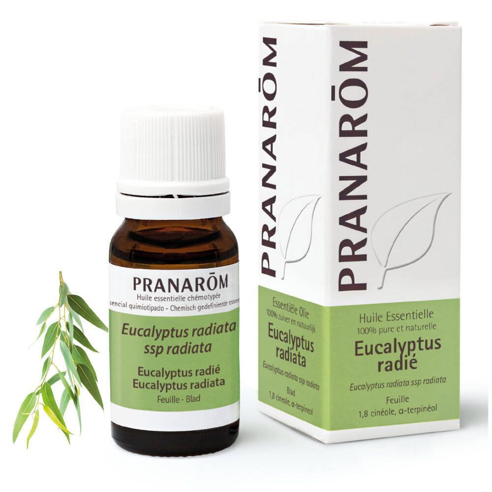 Pranarôm - Eucalyptus Radié - Huile Essentielle Chémotypée - Voies Respiratoires & Immunité - 100 % Pure Et Naturelle - Hect - 10 ml