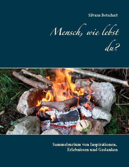 Buchcover mit Titel "Mensch, wie lebst du?". Autorin: Silvana Betschart. Hintergrund: Lagerfeuer mit Flammen.
