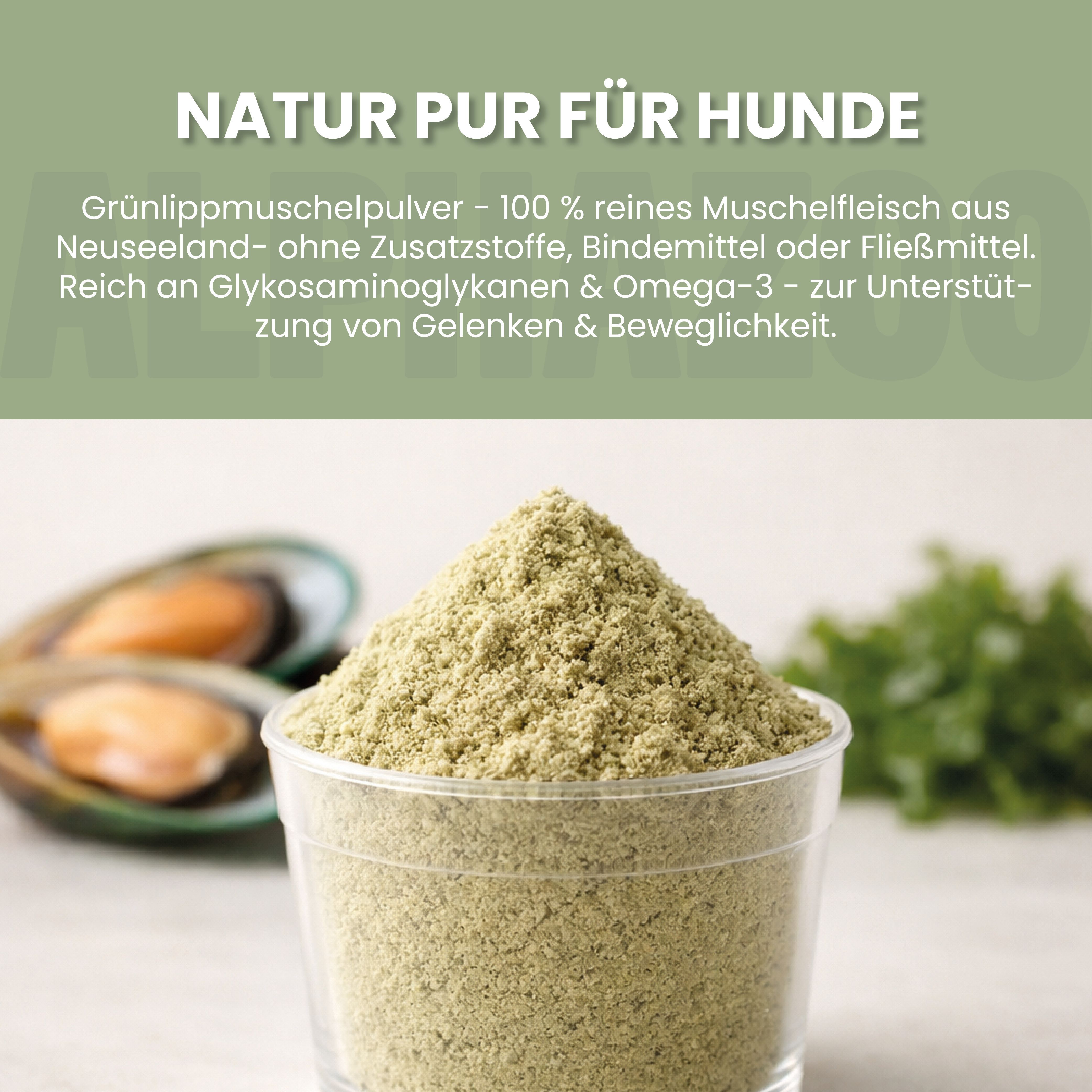 Glas mit grünem Pulver. Text: Grünlippmuschelpulver - 100% reines Muschelfleisch aus Neuseeland. Reich an Glykosaminoglykanen & Omega-3.