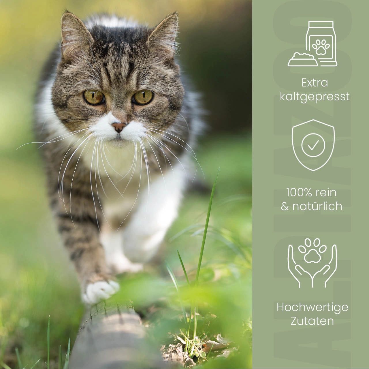 Katze läuft auf Baumstamm. Text: Extra kaltgepresst, 100% rein & natürlich, hochwertige Zutaten.