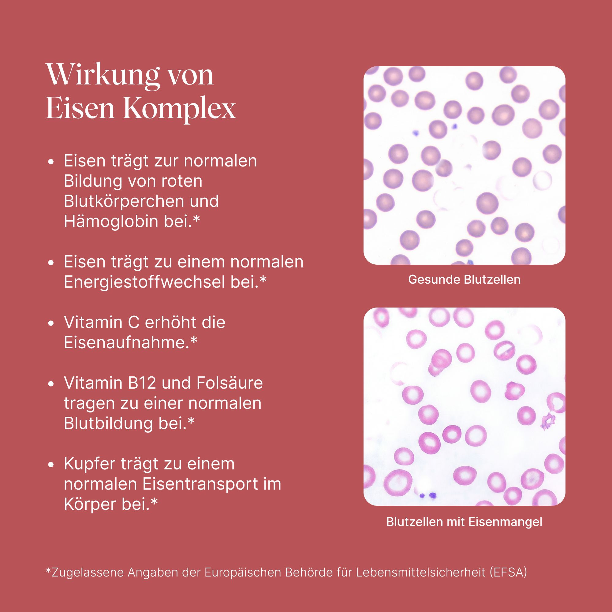 VETAIN Eisen Komplex - Mit 20mg Eisenbisglycinat, Vitamin C, Kupfer, Vitamin B6, B12 & Folsäure