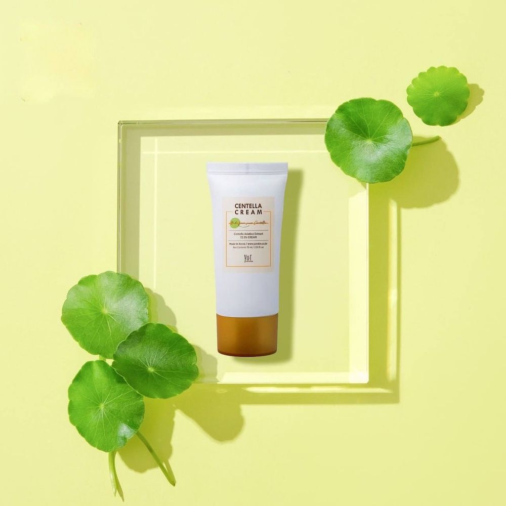 Creme-Tube auf gelbem Hintergrund, umgeben von grünen Blättern. Aufschrift: Centella Cream, Centella Asiatica Extract 72.3% CREAM.