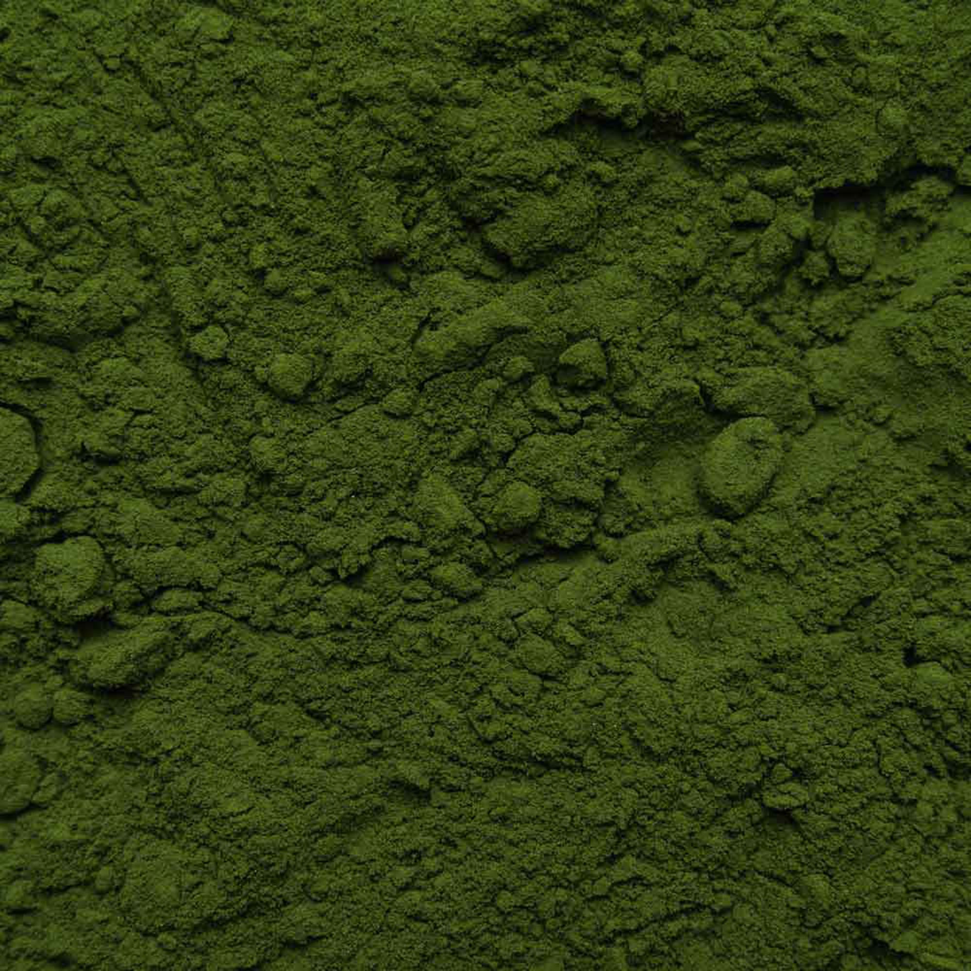 Biotiva Chlorella Pulver Bio