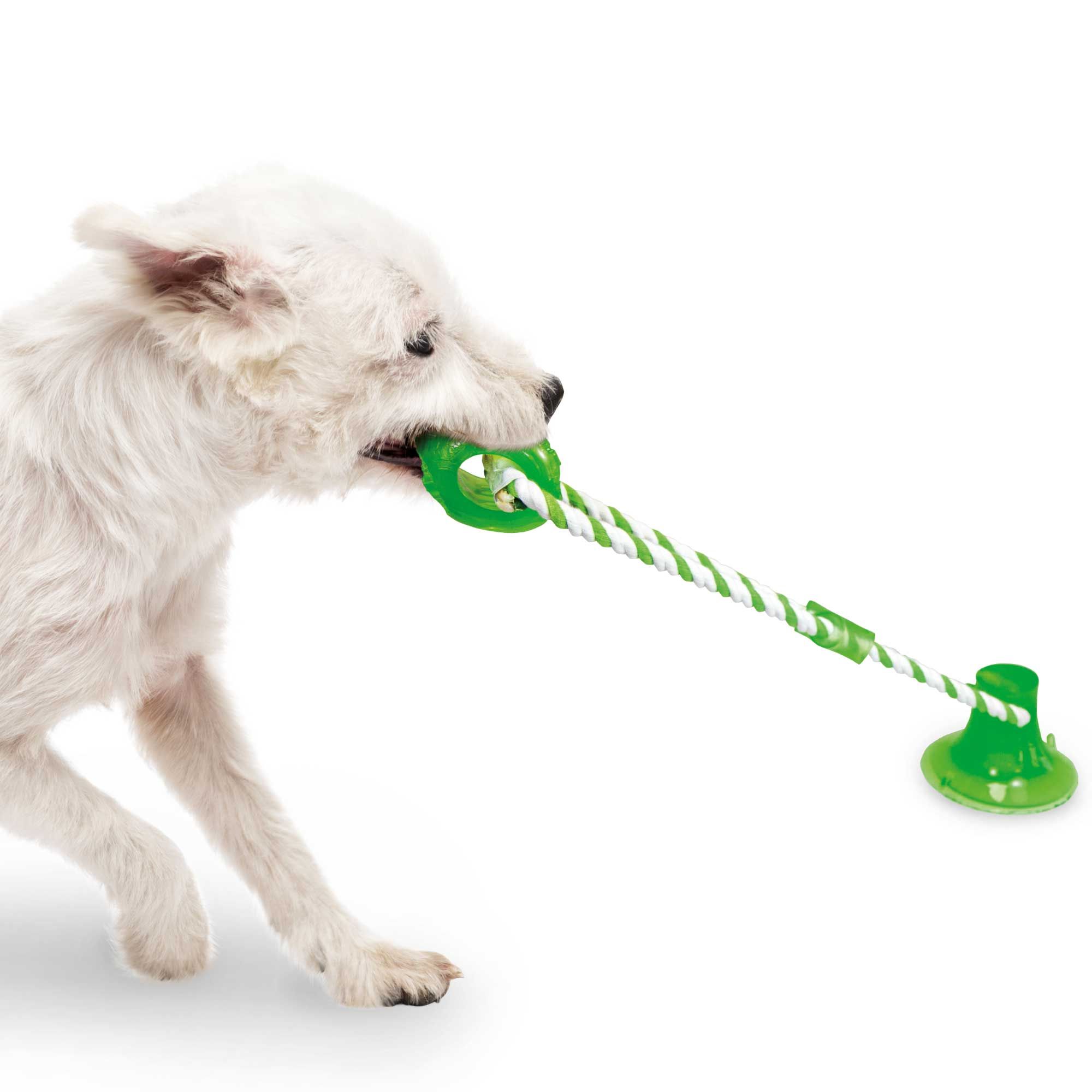 Saugnapf Zerri - Beschäftigungsspielzeug für kleine bis mittelgroße Hunde