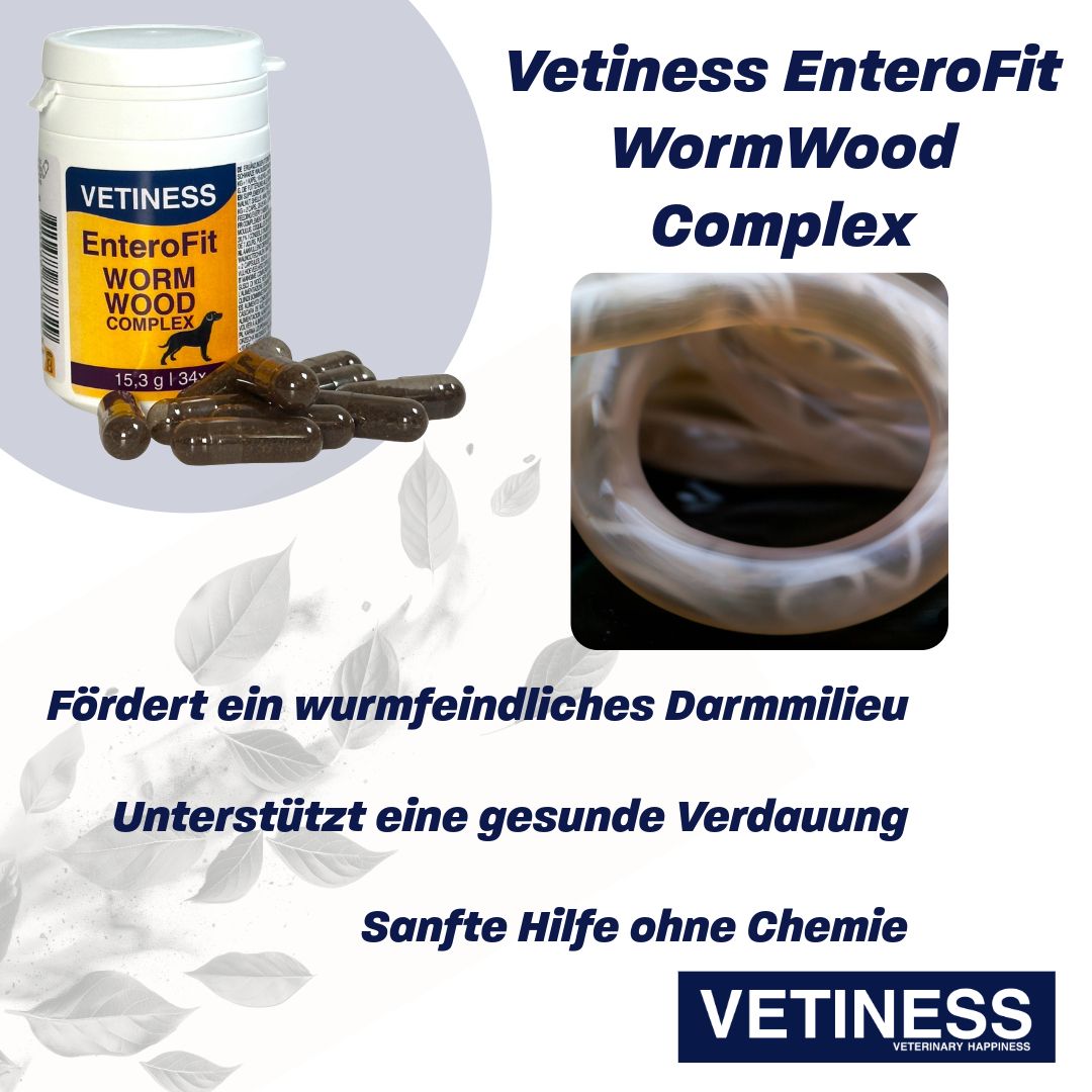 Weiße Dose mit Kapseln, daneben Kapseln. Text: Vetiness EnteroFit WormWood Complex. Fördert ein wurmfeindliches Darmmilieu. Sanfte Hilfe ohne Chemie. Logo.