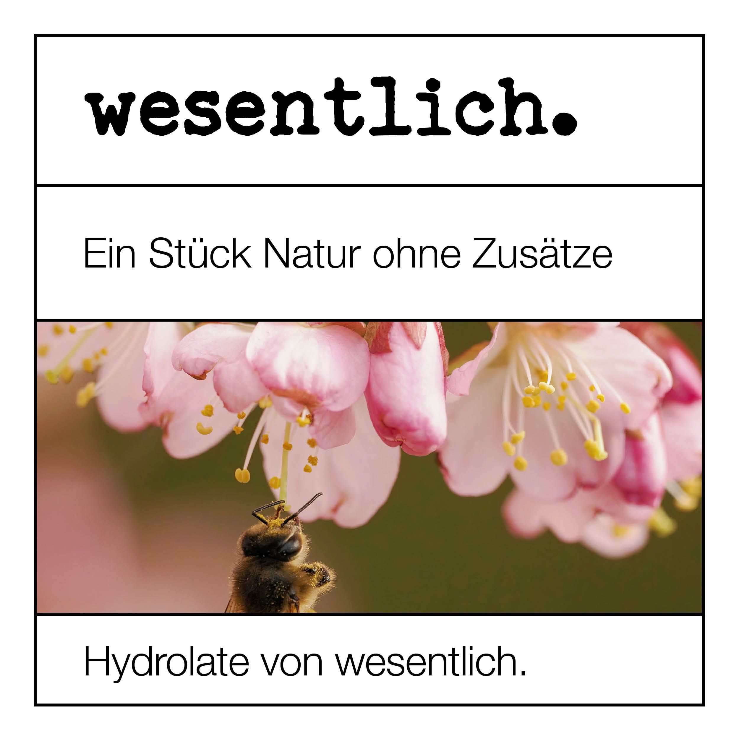 wesentlich. Holunderwasser