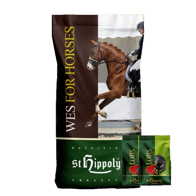 St. Hippoly WES for Horses Futterbeutel mit zwei kleinen Beuteln Lobs Belohnungswürfel.