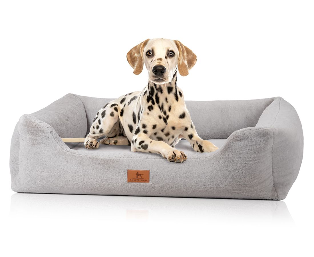 Knuffelwuff orthopädisches Hundebett Schnuffelupagus