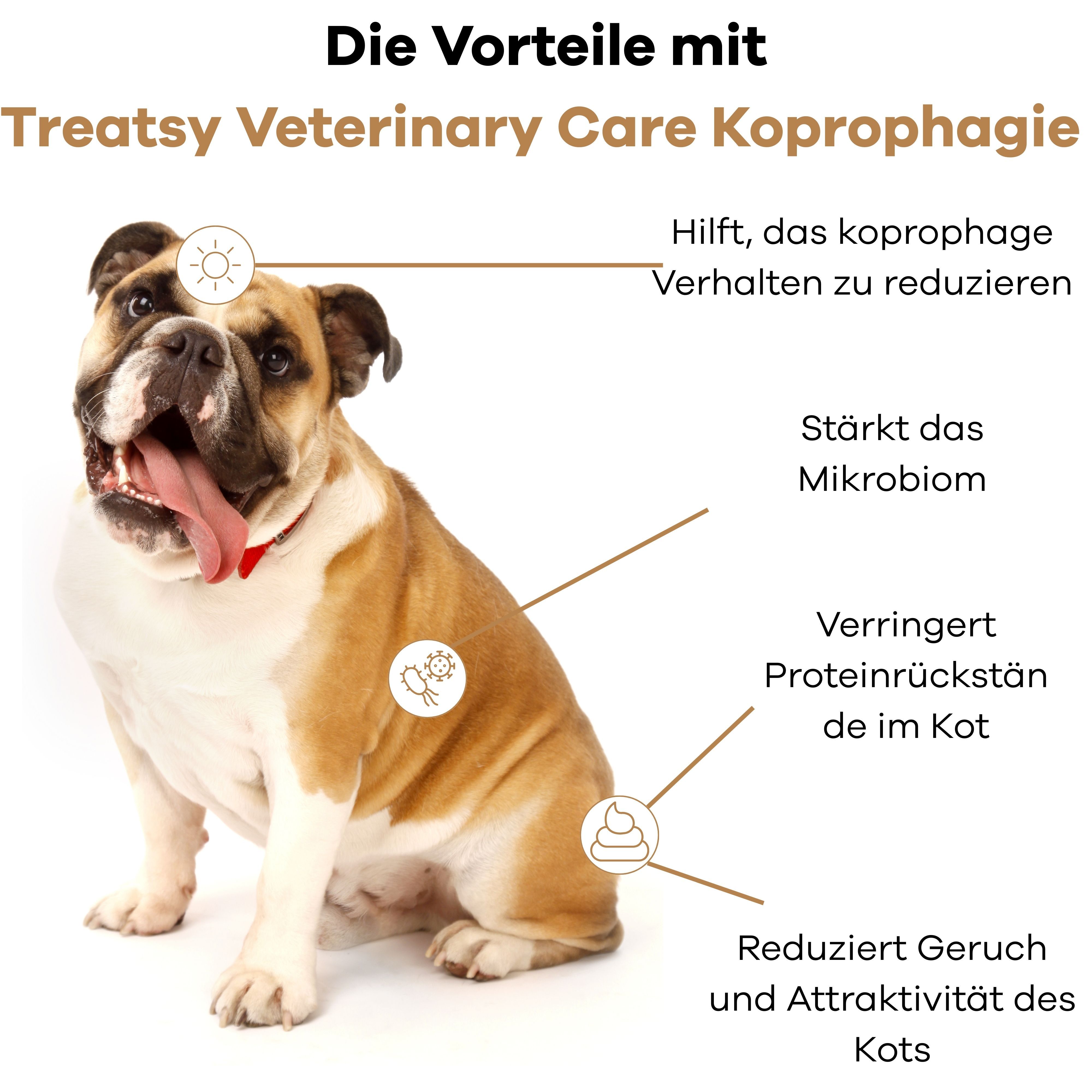 Ein Hund mit Text über Vorteile: Reduziert Koprophagie, stärkt Mikrobiom, reduziert Geruch.