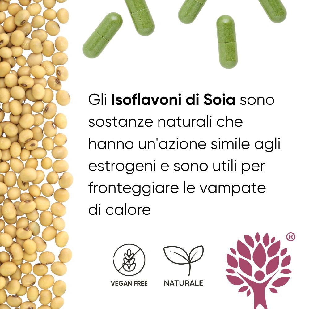 RedMoringa CIMICIFUGA, Soja-Isoflavone, Vitamine & Bio Moringa 60 Kapseln