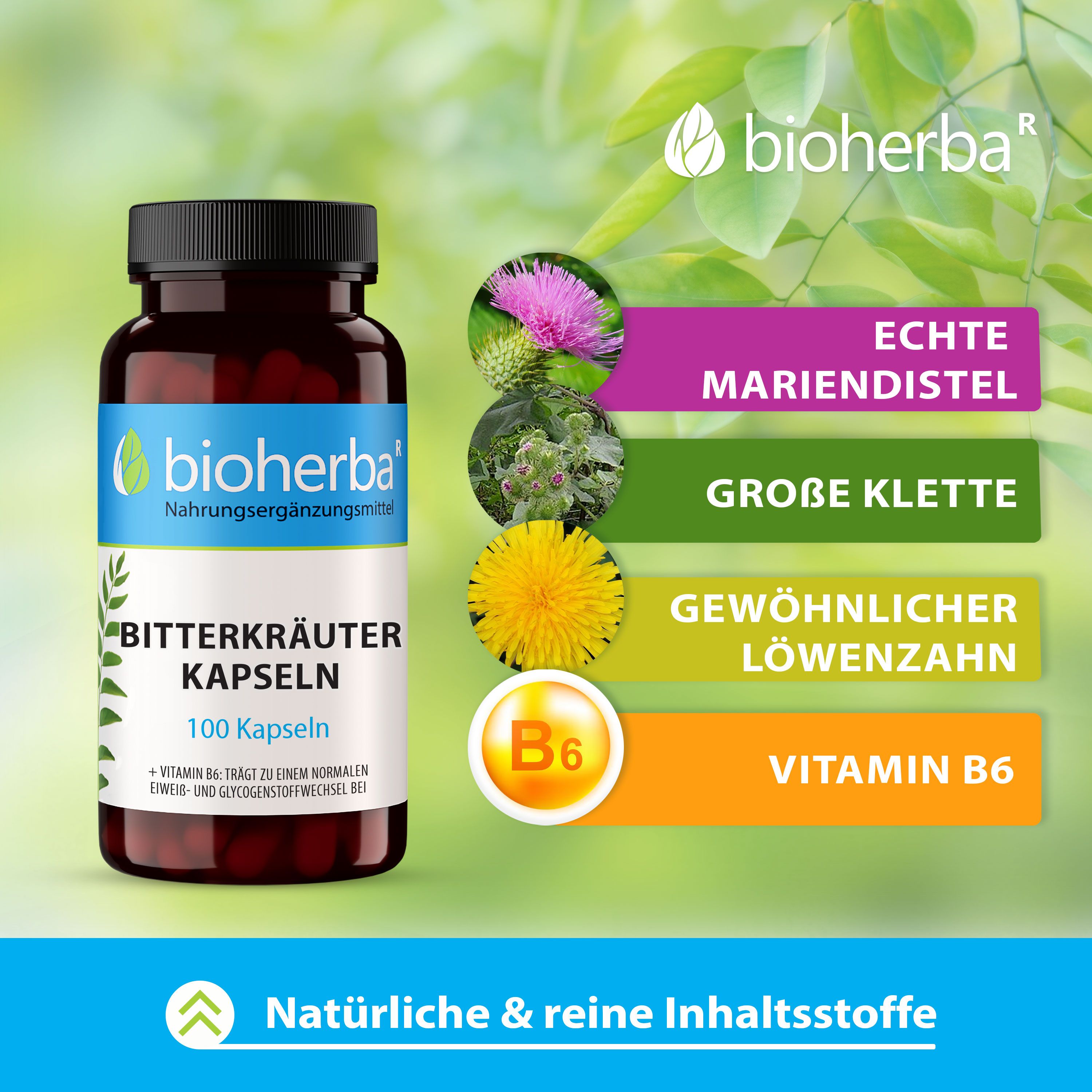 Bitterkräuter Kapseln 100 Stück PZN 19959395