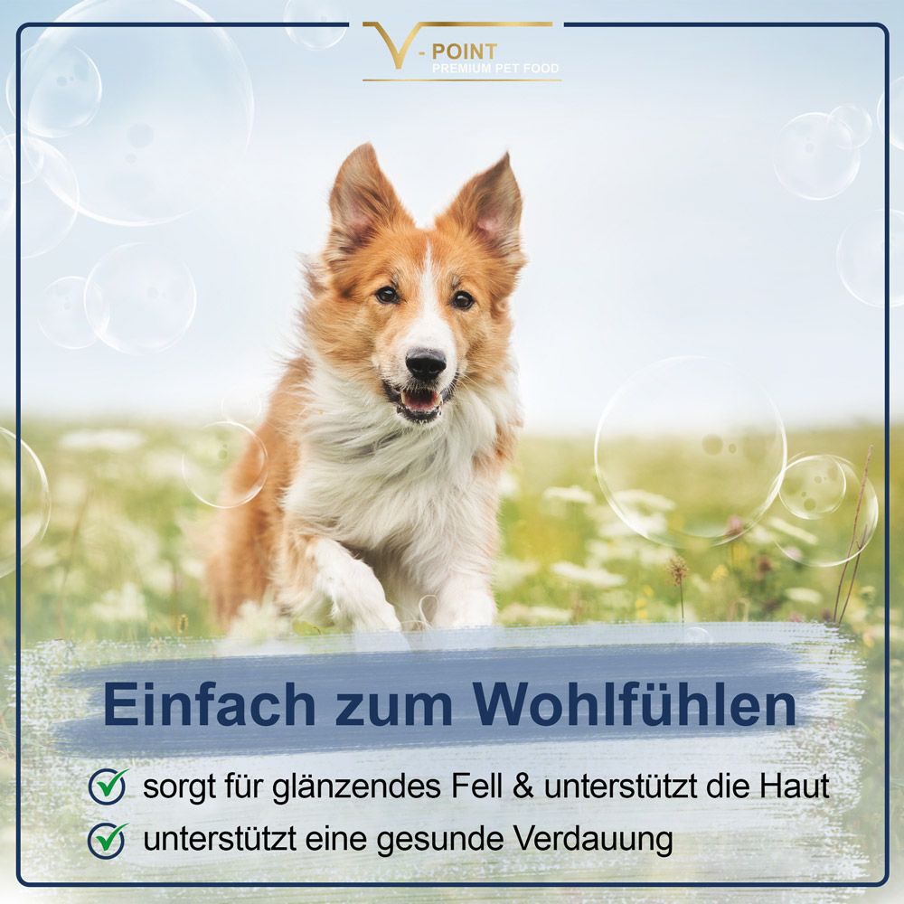 Ein Hund rennt auf einer Wiese. Text: 'Einfach zum Wohlfühlen'. Das Produkt unterstützt glänzendes Fell und eine gesunde Verdauung.