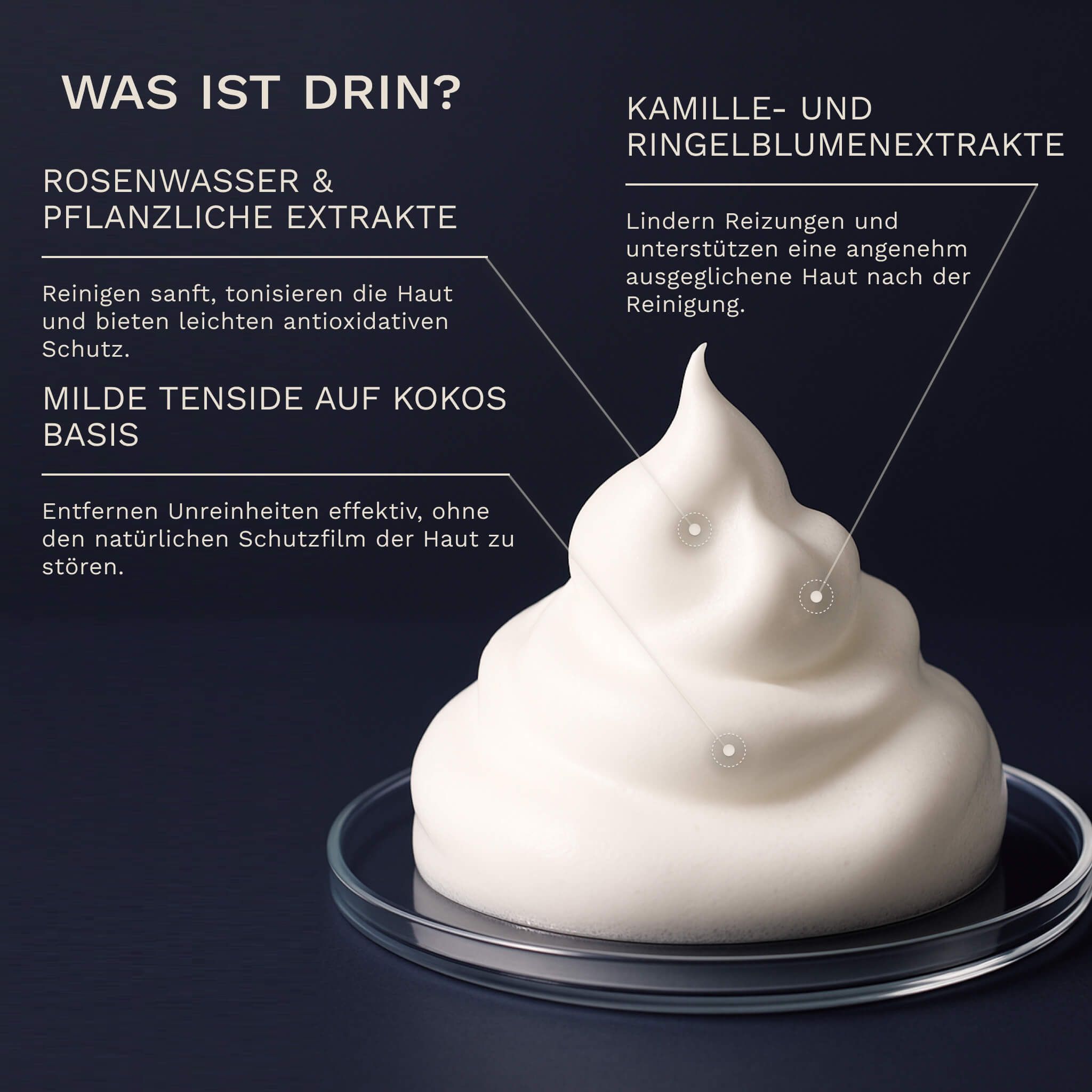 BERGAMOND & BIRCH Clarité No. 18 – Foaming Facial Wash