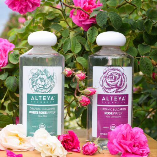 Alteya Organics weißes Rosenwasser