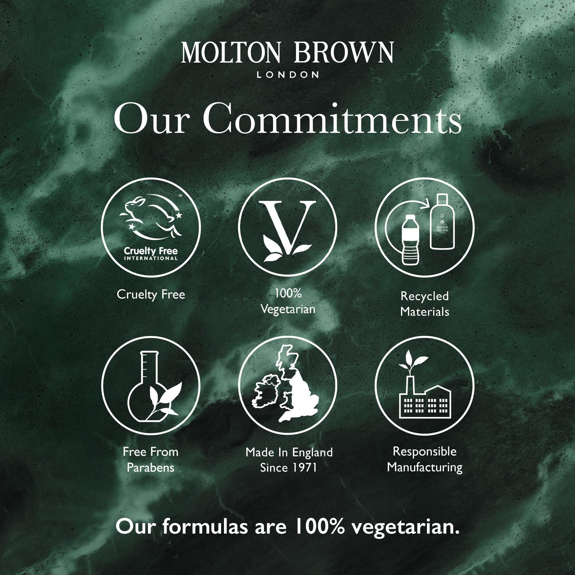 Grafik mit Logos. Cruelty Free, 100% Vegetarisch, Recycelte Materialien, Ohne Parabene, Made in England, Verantwortungsbewusste Herstellung.