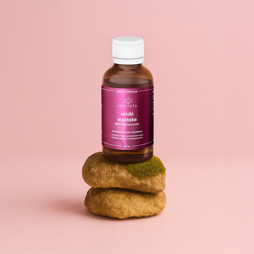 Braune Glasflasche mit lila Etikett steht auf zwei Steinen. Aufgedruckt: smaints, Reishi Maitake, BIO Flüssigextrakt.