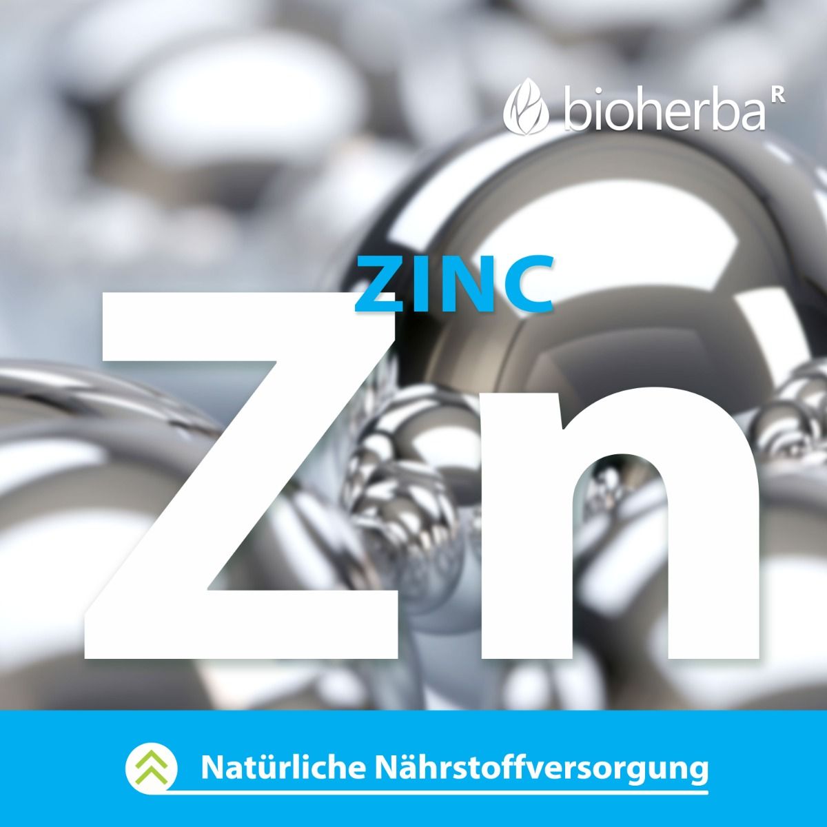 Glucosamin  Chondroitin & MSM 100 Kapseln PZN 17190938