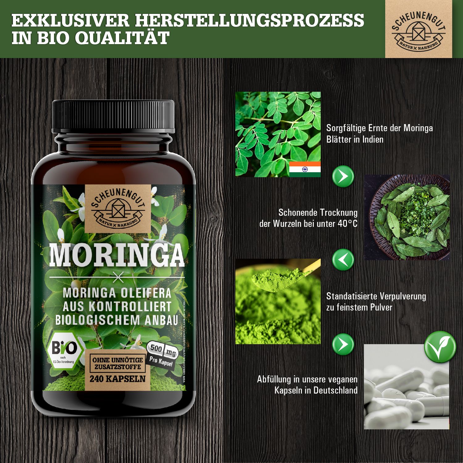 Produktabbildung mit brauner Flasche Moringa-Kapseln, ergänzt durch Infografiken. Zeigt Moringa-Blätter, Trocknung und Pulver.