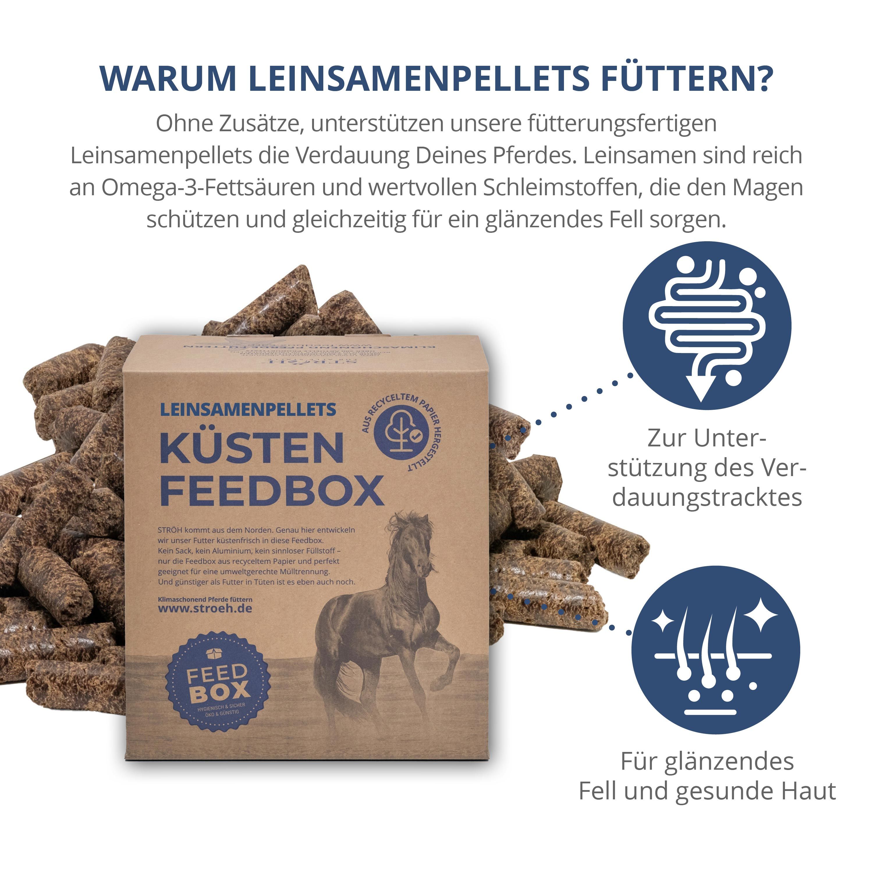 Leinsamenpellets und Feedbox mit Text und Illustrationen. Die Box trägt die Aufschrift "KÜSTEN FEEDBOX" und ein Pferdebild.
