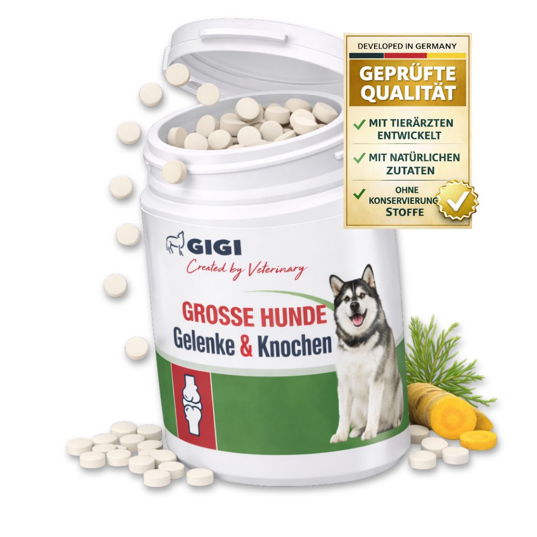 Weiße Tabletten in einer weißen Dose. Text: Gelenke & Knochen, für große Hunde. Geprüfte Qualität. Ohne Konservierungsstoffe.