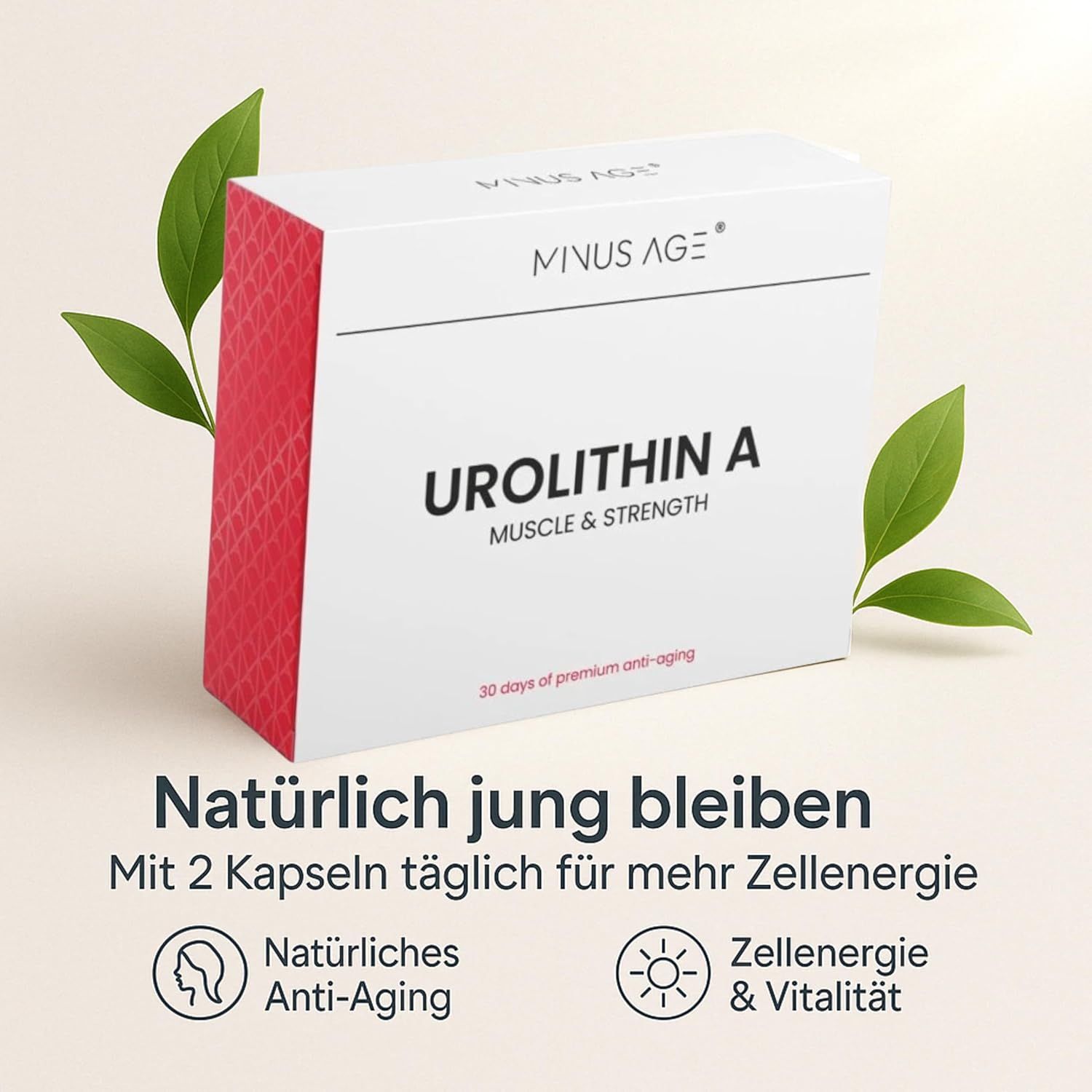 Weißer Karton mit roter Seite. Aufschrift: Urolithin A, Muscle & Strength. Text: Natürlich jung bleiben. Mit 2 Kapseln täglich für mehr Zellenergie. Blätter.