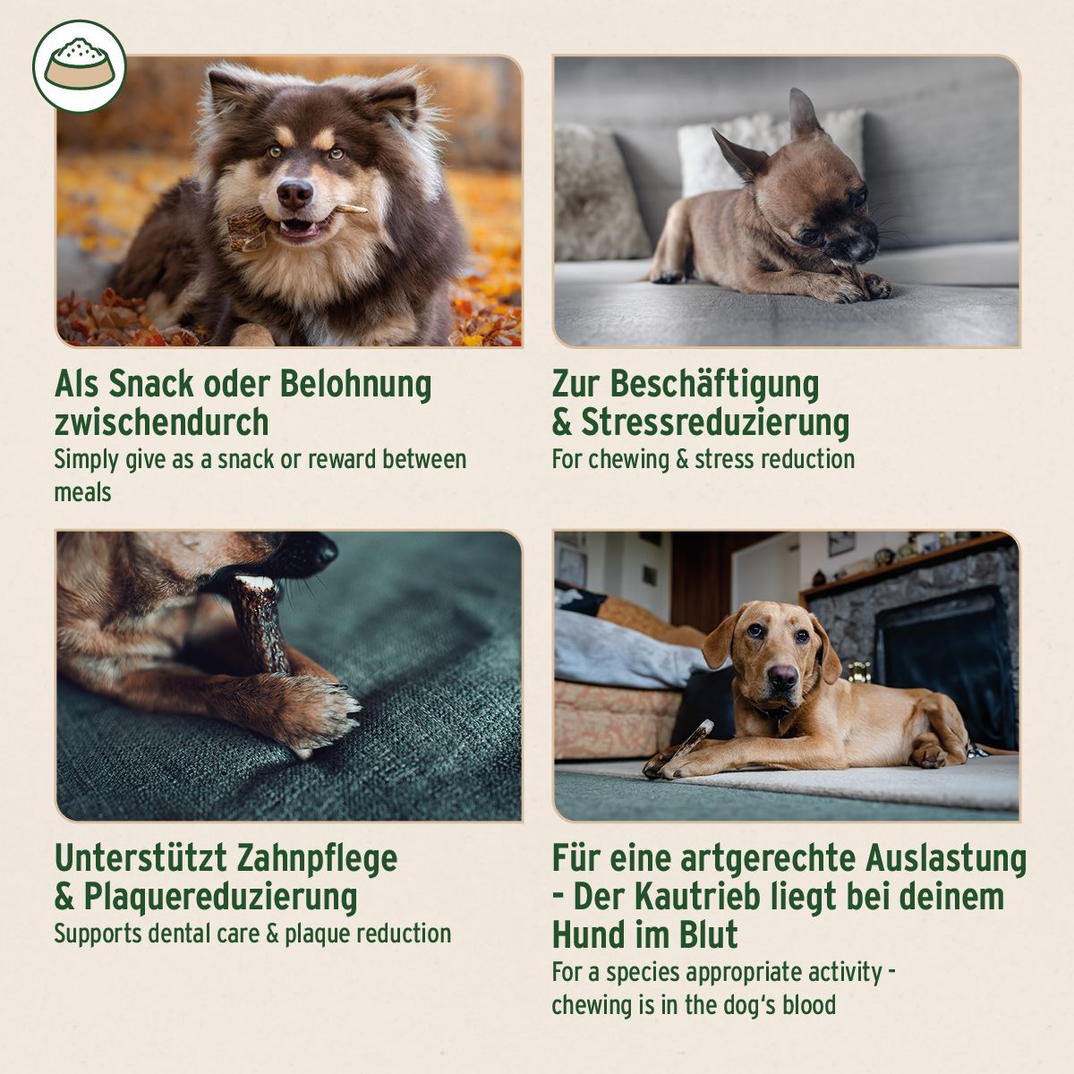Vier Bilder mit Hunden. Hunde kauen auf Hirschgeweih. Textabschnitte: Als Snack, Zur Beschäftigung, Unterstützt Zahnpflege, Für eine artgerechte Auslastung.
