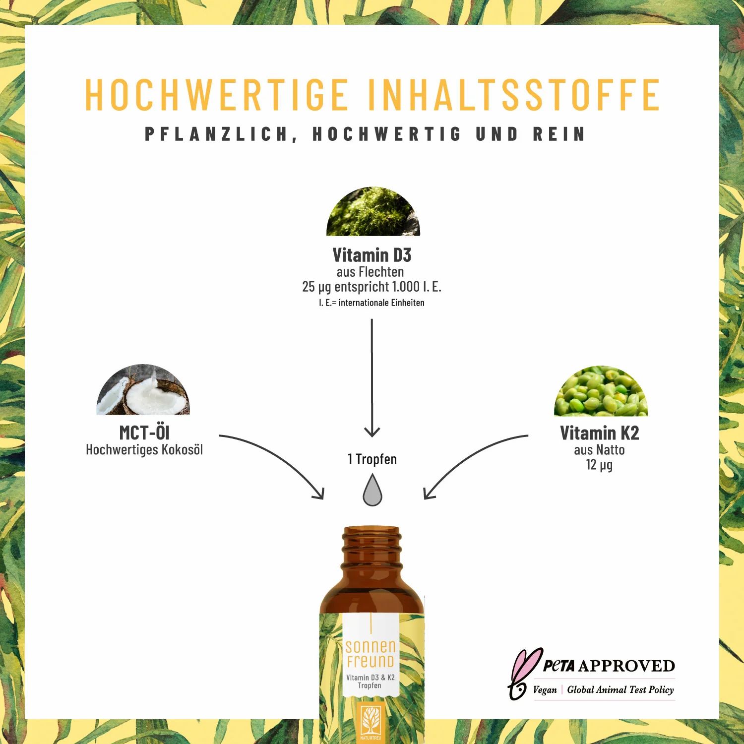 Infografik: Kokosöl, Vitamin D3 aus Flechten, Vitamin K2 aus Natto. Ein Tropfen verbindet sie mit der Sonnenfreund Flasche.
