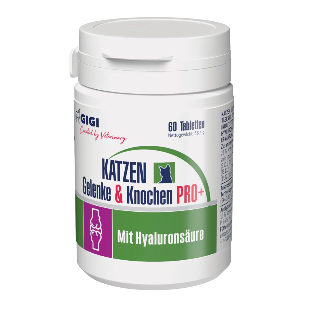Gigi VET Katzen Gelenke & Knochen Pro+ Gelenktabletten mit Hyaluronsäure | Vitalität Kraft 60 St Tabletten