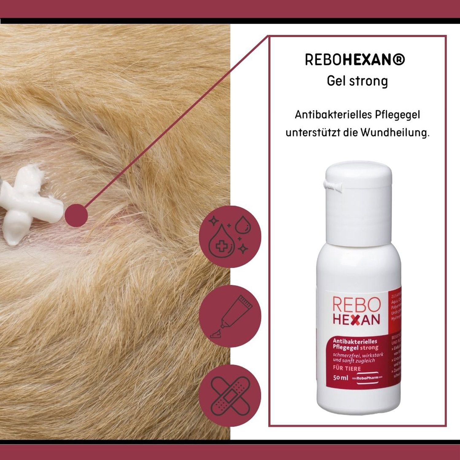 reboVet ReboHexan Gel strong