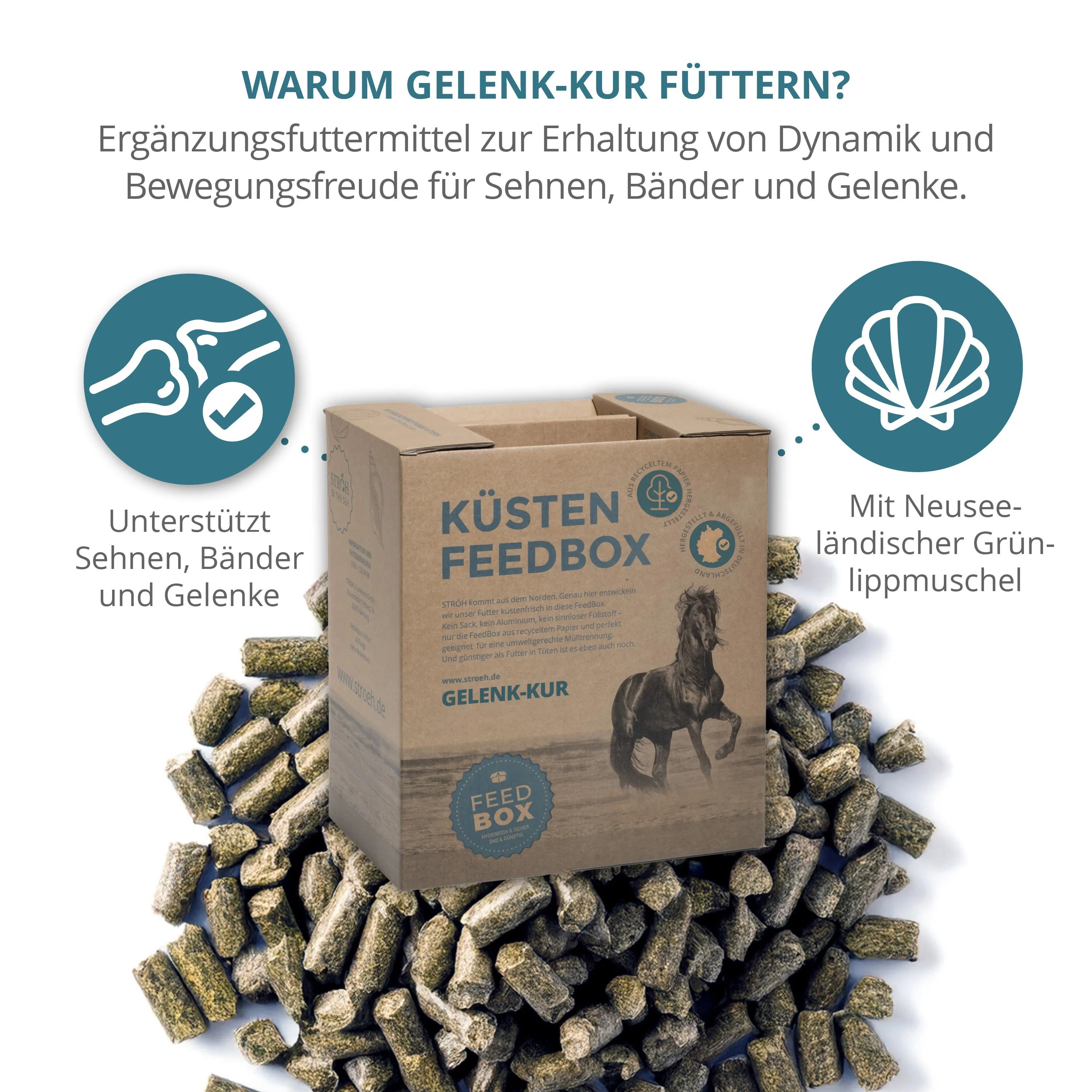 Karton "Küsten Feedbox" mit "Gelenk-Kur"-Aufdruck, braun. Pferde-Abbildung. Futterpellets daneben. Grafiken.