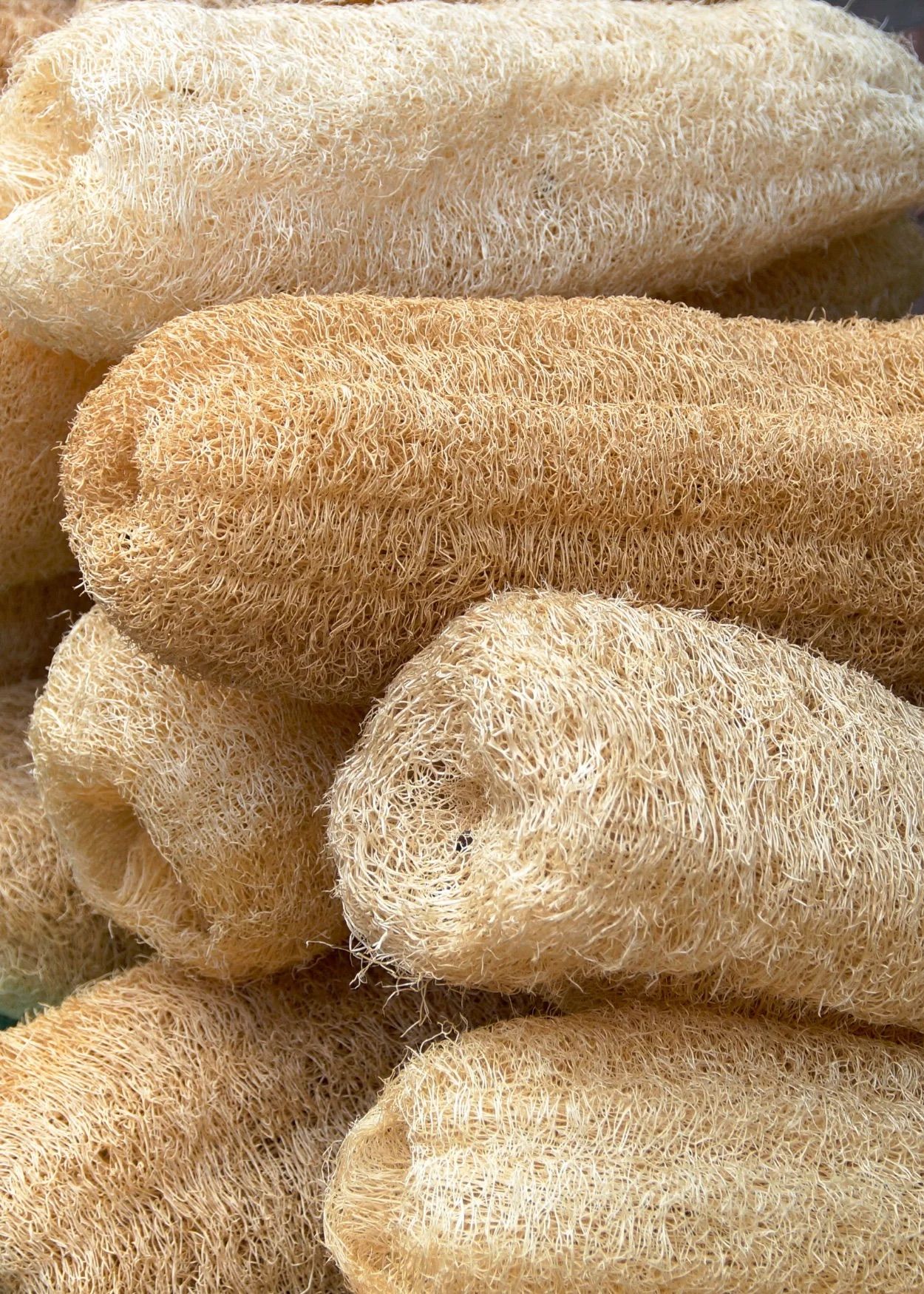 Öz Natur Luffa Schwamm