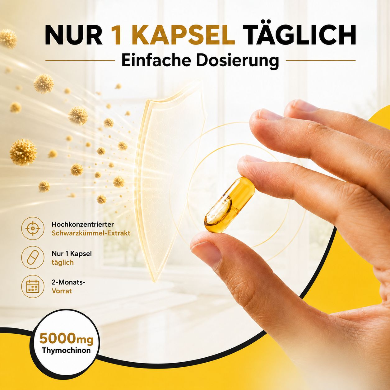 Hand hält BIOLAVIVA Kapsel, einfache Dosierung, 1 Kapsel täglich.