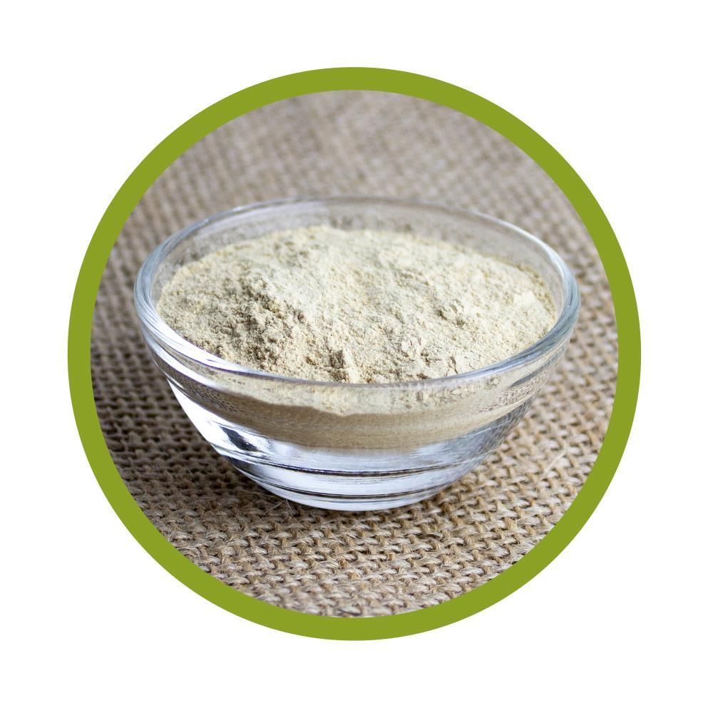 vitalundfitmit100® Bio Maitake Pulver