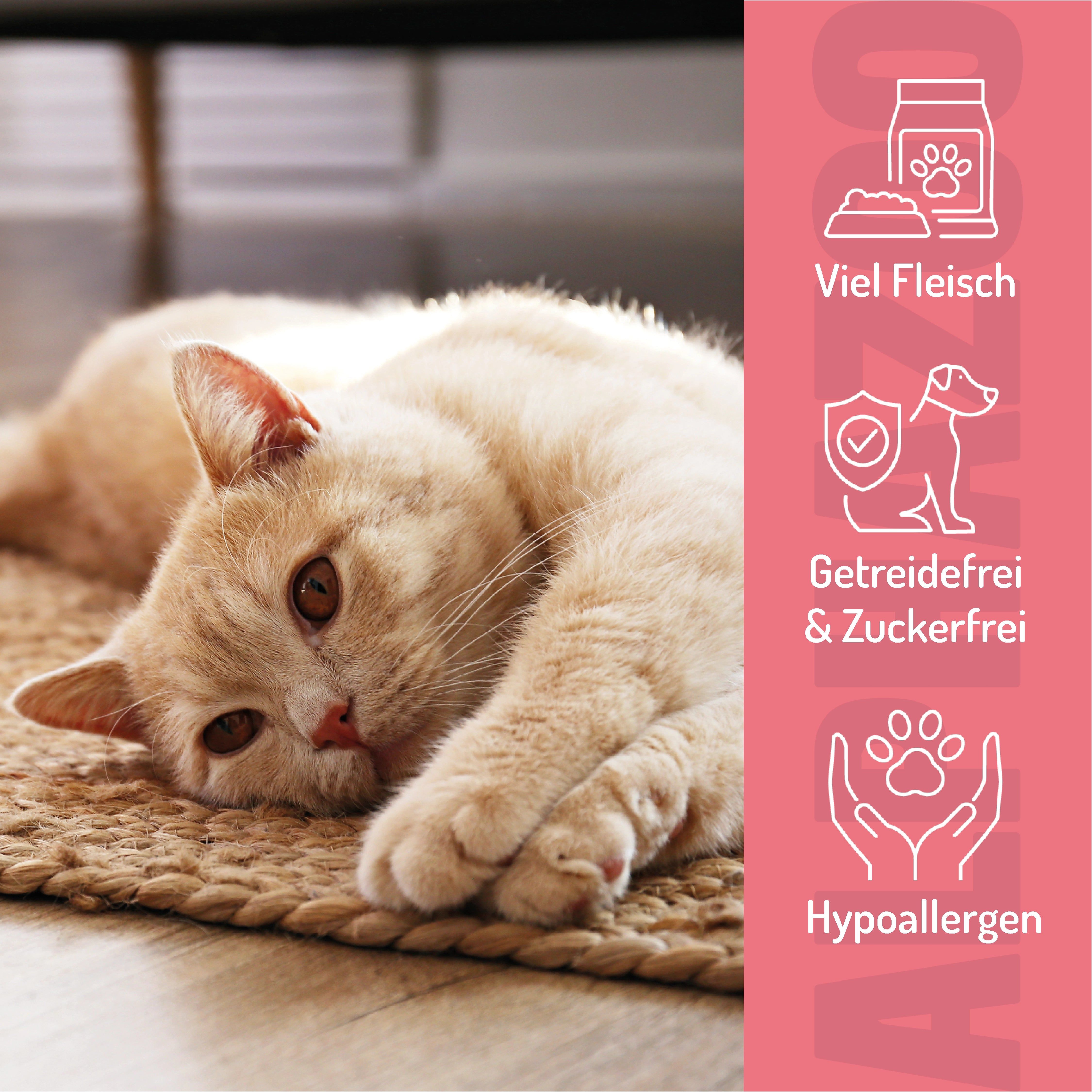 Katze liegt auf einem Teppich. Text: Viel Fleisch, getreidefrei & zuckerfrei, hypoallergen. Produktname nicht sichtbar.